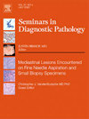 SEMINARS IN DIAGNOSTIC PATHOLOGY雜志封面